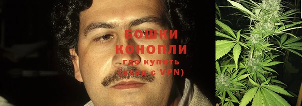 сатива Абинск