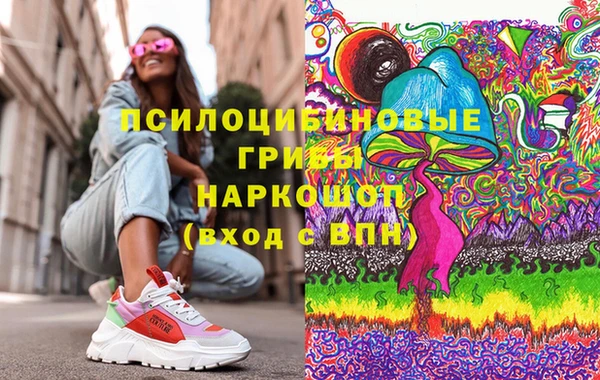дживик Абаза